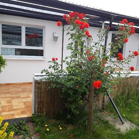 Bungalow Usedom Koserow Exterior foto